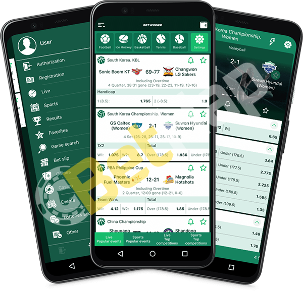 Explore the World of Betting with Betwinner 4