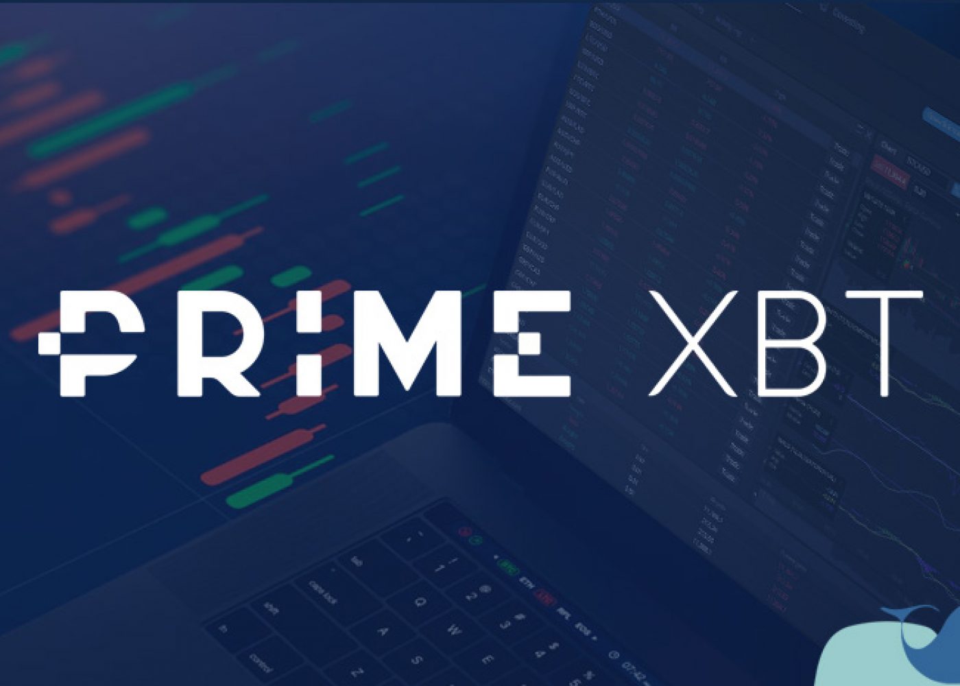 The Future of Forex Trading with PrimeXBT Forex