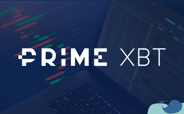 The Future of Forex Trading with PrimeXBT Forex The Future of Forex Trading with PrimeXBT Forex