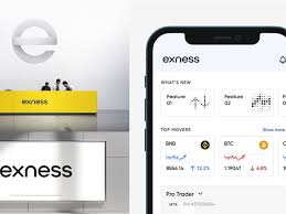 Understanding Exness Trading A Comprehensive Guide for Beginners