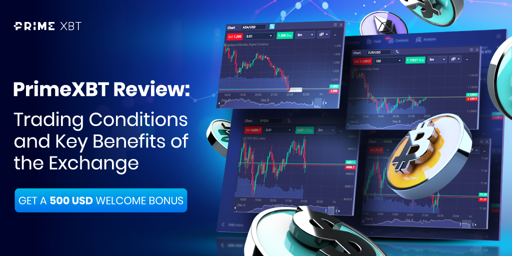 Primexbt vs Pocket Option A Comprehensive Comparison of Trading Platforms