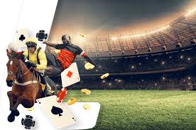 What to look for in Sports Betting Platforms 29