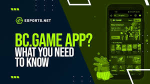 تجربة فريدة في BC Game Casino عالم من الترفيه والمكافآت