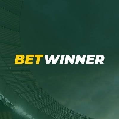 Explore the World of BetWinner Sports Betting